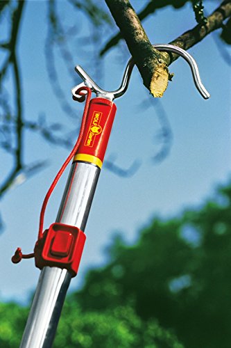 WOLF-Garten multi-star® Asthaken RT-M; 7245000 - 2