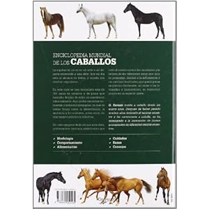Enciclopedia mundial de los caballos (Enciclopedia Practica)