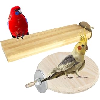 Sage Square Bird Wooden Circle & Stand Platform Combo o...