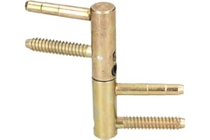 KOTARBAU Charnière de porte universelle en laiton robuste - 14/16/20 mm - Tête cylindrique réglable (14 mm) - Doré