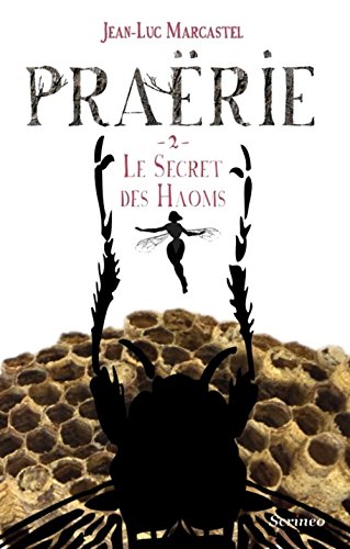 Le secret des Haoms