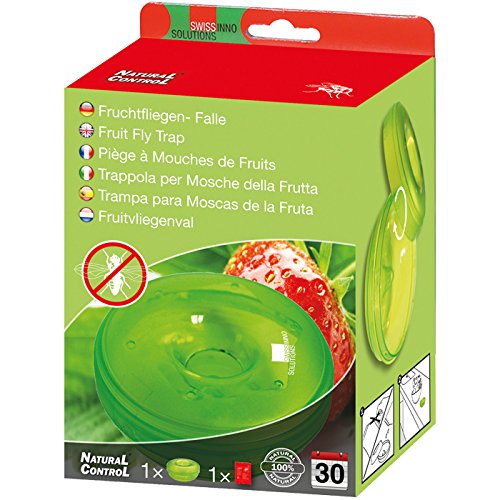 SWISSINNO 1 237 231 Natural Control Fruchtfliegenfallen inklusiv Köder