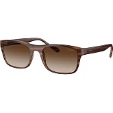 Vogue VO-0VO5547SI-257113-53 In Vogue G&uuml;neş G&ouml;zl&uuml;ğ&uuml;, Striped Brown Havana, Erkek