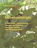 Lebensenergie: Erdstrahlen - Elektrosmog, Quellen der Heilung, Geistiges Heilen, Palmblattbibliothek by 