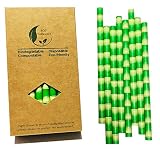 Pajitas de papel jumbo de bambú extra anchas de 10 mm para batidos, batidos de leche (32 cajas de papel)