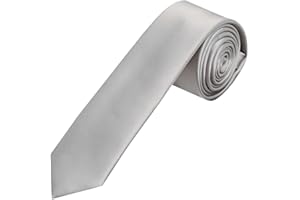 TIES R US Silver Satin Skinny Boys Tie