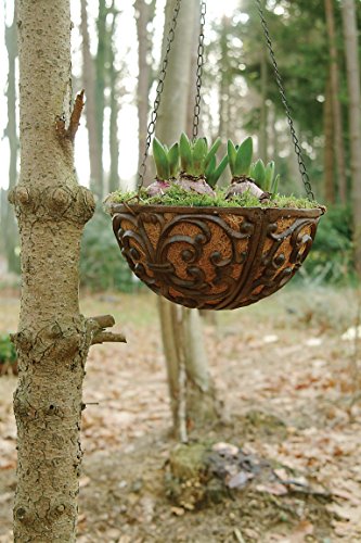 Haken Wandhalterung Blumenampel Landhaus Gusseisen 21 cm - 2