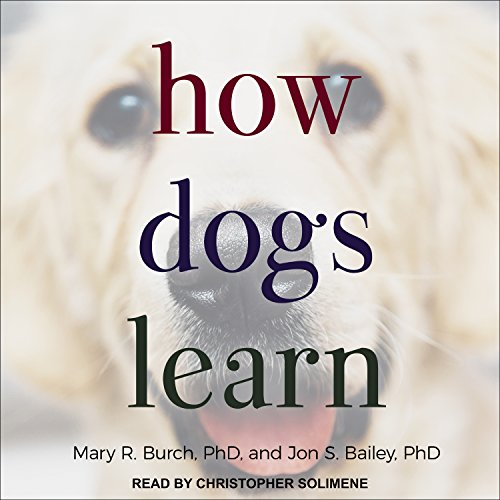 Preisvergleich Produktbild How Dogs Learn