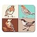 Produktbild AOCCK Gaming Mauspads, Gaming Mouse Pad Animal of Vintage Birds Accent Doodle Sketch Beauty Birdy 11.8"x 9.8" Decor Office Nonslip Rubber Backing Mousepad Mouse Mat
