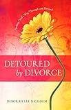 Image de Detoured by Divorce: Finding God's Way Through and Beyond
