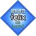 Baby Boy Felix on board novelty car sign gift / present for new child / newborn baby