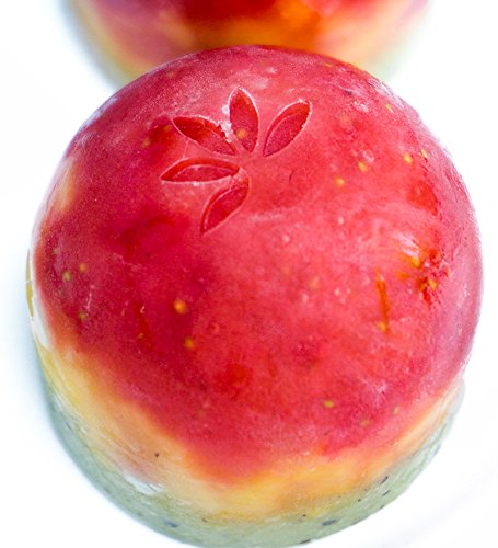 divata FRIERies, 2er Set – Gefrierform, Eiswürfelform mit Deckel zum Einfrieren und Aufbewahren von Babynahrung – frozen Smoothies, Eis, Muttermilch, Babybrei einfrieren – ideal für wiederverwendbare Quetschbeutel. BPA frei - 8