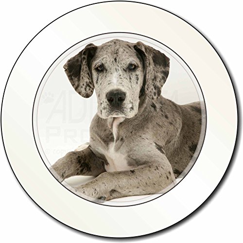 Preisvergleich Produktbild Deutsche Dogge AutovignetteGenehmigungsinhaber Geschenk