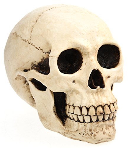 eindrucksvolle XXL Spardose Schädel Skull Totenkopf