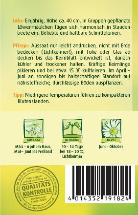 Löwenmaul, Halbhohe riesenblumige Mischung - 2