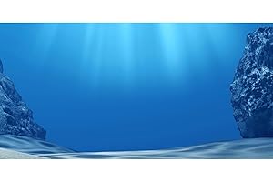 MIRRORANG 120x50cm Fondo de Acuario bajo el Agua Azul Lago de mar Profundo Fondo de Tanque de Peces Vinilo