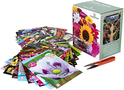 Fleur Graines Boite Pare-Choc Paquet Inclus 40 Différent Variétés Aster, Cosmos, Tournesol, Coquelicot, Pensée et Plus 1 Paire de Jardin Cisailles, Cadeau Idéal , 1 X par Thompson Morgan