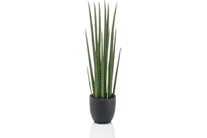 ‎ARTPLANTS artplants. de Kunst Sansevieria Cylindrica KICHIRO in Decorative Pot, Green, 70 cm - Plastic Succulent Plant