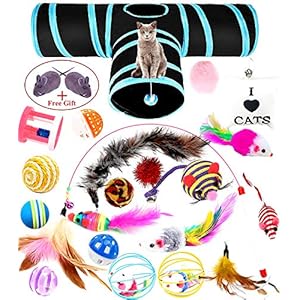 wordmo Juguetes para Gatos,23 Piezas Juguetes para Gatos Juguetes Interactivo Ratón Túnel Gato y Bolas Varias con Campanas y Plumas, Cabezas de Repuesto para Kitty Gatito