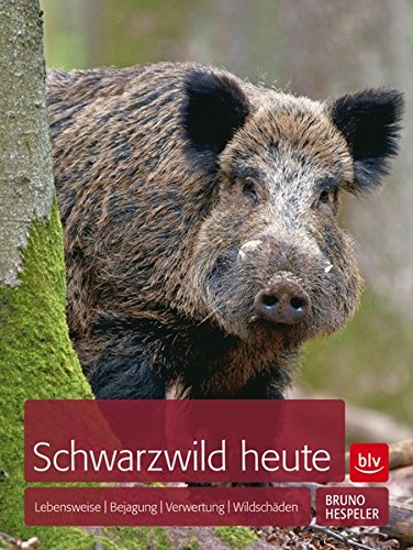 Download Schwarzwild heute: Lebensweise Bejagung Verwertung Wildschäden Download Schwarzwild heute: Lebensweise Bejagung Verwertung Wildschäden