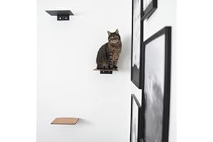 LucyBalu® Schody dla kotów, ściana do użytku wewnątrz i na zewnątrz, zestaw 3 szt., ścianka do wspinaczki dla kotów, do 10 kg, drabinka dla kotów z powłoką antypoślizgową | 3 stopnie mocowania na ścianie | XL antracyt