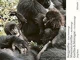 Image de Berggorillas. Gorilles de montagne. Mountain Gorillas: Eine Hommage. An Homage. Un Hommage