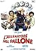Produktbild L'allenatore nel pallone [IT Import]