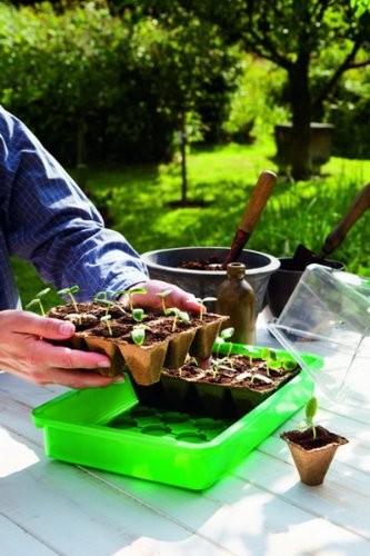Romberg Zimmergewächshaus-Komplettset Maud, inkl 24 Anzuchttöpfe, Erde und Dünger - 2