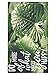 Produktbild Huella Deco h1468-do Special Words Teppich doormate Mat Floor, Vinyl, 40 x 70 cm