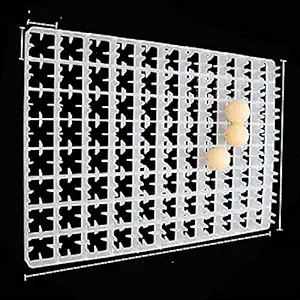 TM&W Hatcher Accessories Chicken Eggs Tray Quail Automatic Incubator with 88 Egg Capacity for Duck