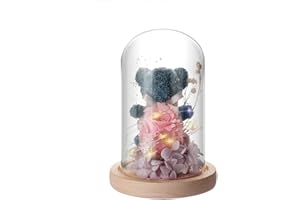 ‎IVEOPPE Ewige Rose Bär im Glas - mit LED Licht und Holzsockel, Geschenke für Frauen, Geburtstagsgeschenk für Frauen, Rosen-Bär für Freundin Frau am Muttertag Geburtstag Valentinstag Jahrestag(Blau)