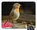 Produktbild Security Guard Mouse Pad, Mousepad (Birds Mouse Pad)