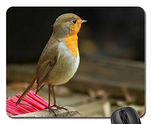 Preisvergleich Produktbild Security Guard Mouse Pad, Mousepad (Birds Mouse Pad)