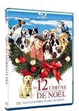Les 12 chiens de Noël
