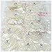 NAILFUN 500 Full Cover Toe Nails in Pouch - Natural White