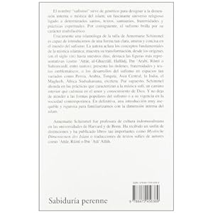 Introduccion al sufismo/ Introduction to Sufism