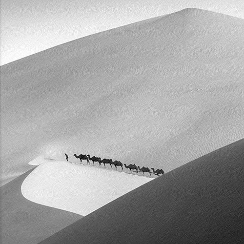 Ayotu Kindle Voyage H lle--Case Cover Mit Auto Sleep Wake Funktion nur
geeignet f r Amazon Kindle Voyage 6 Zoll 2014 KV-09 The Desert