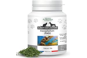 FLORALPINA Kelp en Poudre 100g pour Chien et Chat - Complément Alimentaire Naturel, Riche en Minéraux et Vitamines, Soutien Santé et Vitalité