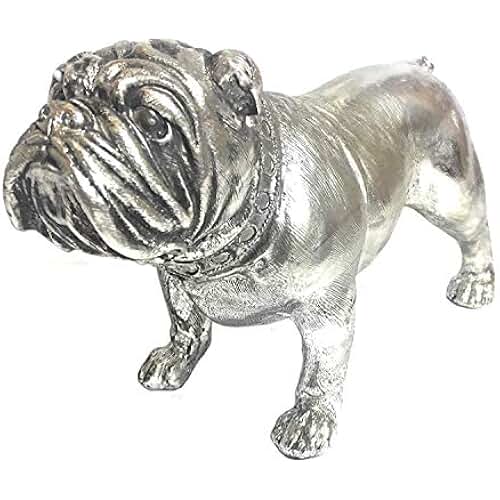 Amazon.co.uk english bulldog accessories