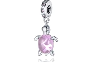 TINSLO Charm Anhänger Damen 925 Sterling Silber für Armband Charms Beads passend für Pandora Armband und Halskette, Kompatibel mit Europäischen Armbänder für Frauen Mädchen B1