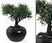 Produktbild Kunstpflanze Mini Bonsai "Zeder" mit ca. 19cm im Keramiktopf - künstliche Bonsai Pflanzen Kunstpflanzen Dekopflanzen asiatische Dekoration Thai Deko China Dekorationen </p> --> großes Kunstpflanzen Sortiment