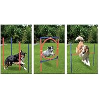 Profi Hundetrainigsset Agility 3 Übungen für Ihren Hund GRATIS TRAGETASCHE ,bereits seit 5 Jahren bewährte Qualität! Ideales Hunde Training zum günstigen Preis!
