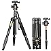 Produktbild Q666 Tragbare Kamera Magnesium Aluminium Professionelle Kamera Stativ Einbeinstativ mit Kugelkopf; für Canon EOS 100D 200D 1300D 800D 1200D 700D 650D 750D 80D 77D 70D, 7D 5D, Nikon D3400, D3300 D3200, D3100, D5300 D5600 D5500, D7500, D7200, D810, D610, Fuji Finepix X-S1, HS50, Panasonic FZ72 fz82 FZ2000, Olympus, Pentax K5, K30, K50, K500, Sony A65, A58, a7,7r & More DSLR