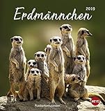 Erdmännchen Postkartenkalender - Kalender 2019 by 