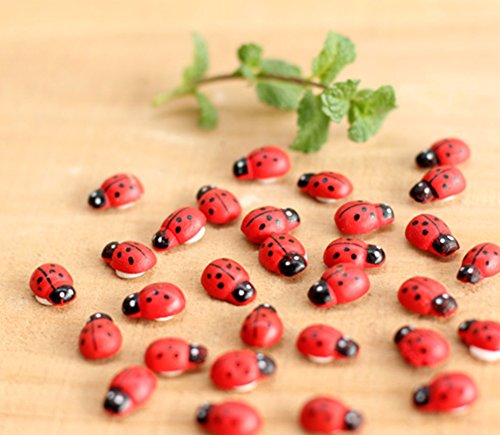 100x Da.Wa Miniature Fairy Garden Ladybugs Sticker Ornament Home Decoration Outdoor 100x Da.Wa Miniature Fairy Garden Ladybugs Sticker Ornament Home Decoration Outdoor