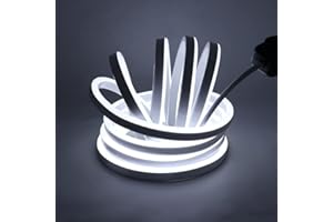 WISADA 220V 2835 Tira LED,Luz de Neón Regulable,120 LEDs/m Tira de LED Flexible con Interruptor de Lemas de Bricolaje,Símbolo de Anuncios Comerciales, iluminación de Terrazas (3m,Blanco)