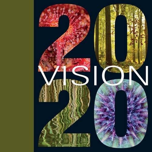 2020 VISION: One Vision to Rebuild Our Natural Home: A Vision to Rebuild Our Natural Home