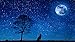 Produktbild Inspired Walls Wolf Night Mond Sterne Giant Poster – A5 A4 A3 A2 A1 A0 Größen