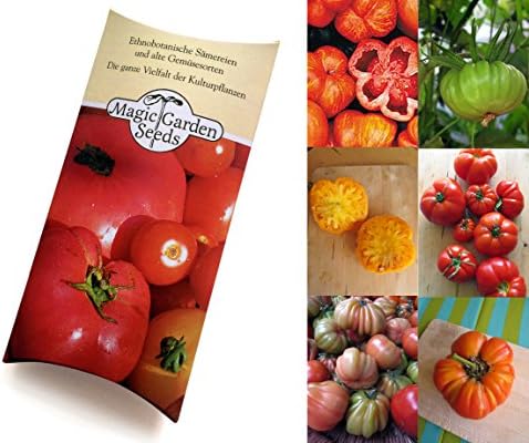 Seed kit: 'Traditional beefsteak tomato plants', 6 classic varieties to grow your own flavoursome tomato assortment presented in a beautiful gift box
