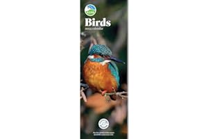 CAROUSEL CALENDARS RSPB Birds Slim Calendar 2024